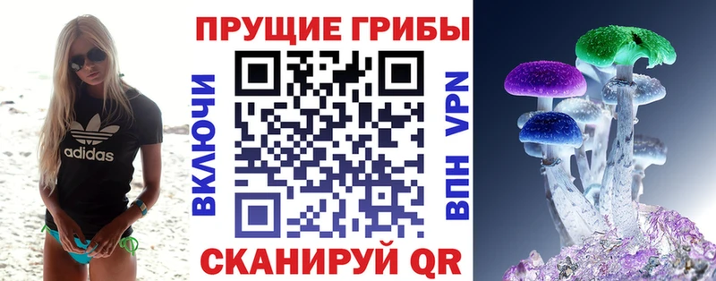 купить наркоту Нестеров Псилоцибиновые грибы Psilocybe